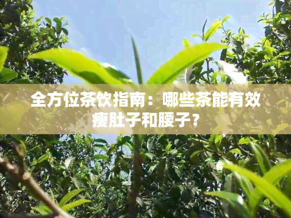 全方位茶饮指南：哪些茶能有效瘦肚子和腰子？