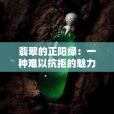 翡翠的正阳绿：一种难以抗拒的魅力颜色，你了解吗？