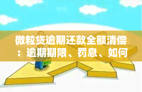 微粒贷逾期还款全额清偿：逾期期限、罚息、如何全额还清及影响分析