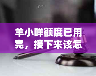 羊小咩额度已用完，接下来该怎么做？新解决方案全面解答