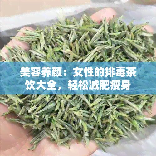 美容养颜：女性的排茶饮大全，轻松减肥瘦身