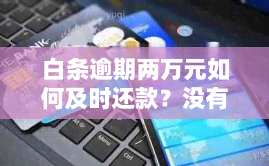 白条逾期两万元如何及时还款？没有逾期的情况下还款攻略！