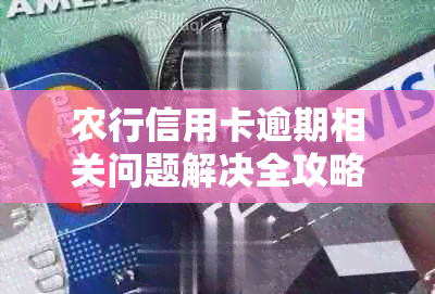 农行信用卡逾期相关问题解决全攻略：如何反映、电话咨询及应对措