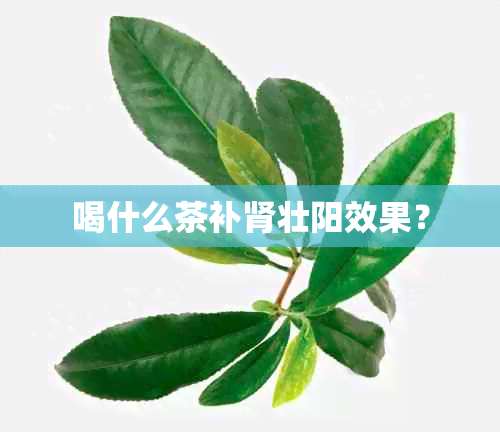 喝什么茶补肾壮阳效果？