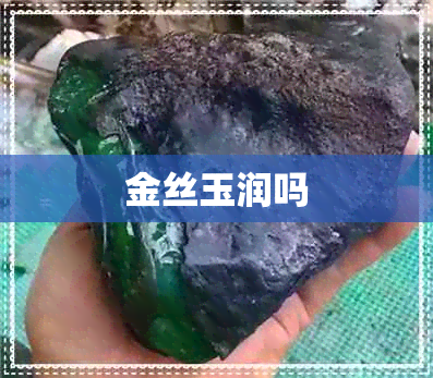 金丝玉润吗