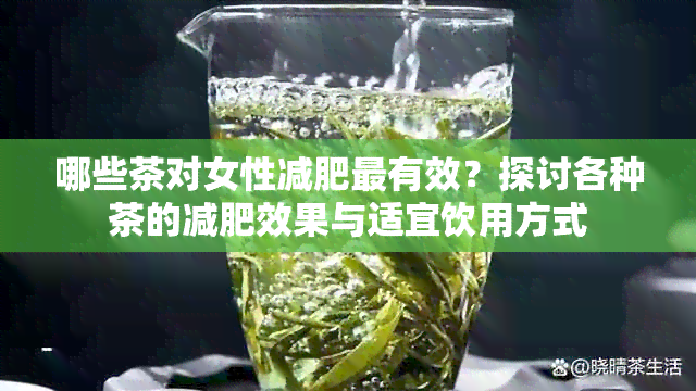 哪些茶对女性减肥最有效？探讨各种茶的减肥效果与适宜饮用方式