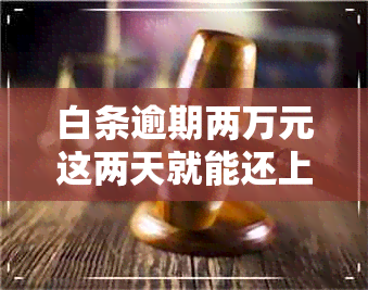 白条逾期两万元这两天就能还上但