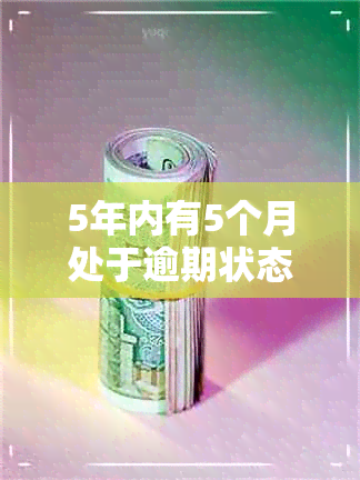 5年内有5个月处于逾期状态