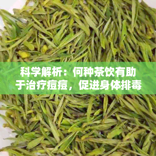 科学解析：何种茶饮有助于治疗痘痘，促进身体排？