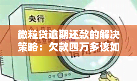 微粒贷逾期还款的解决策略：欠款四万多该如何处理？