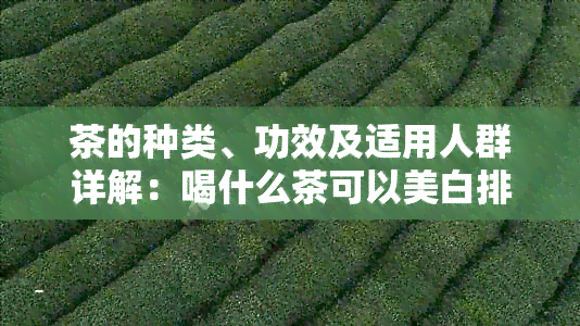 茶的种类、功效及适用人群详解：喝什么茶可以美白排养颜效果？