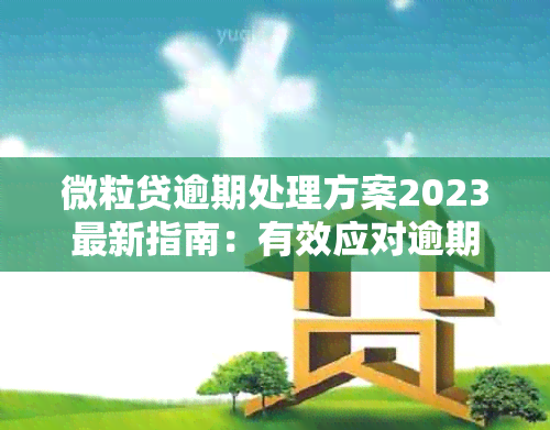 微粒贷逾期处理方案2023最新指南：有效应对逾期问题