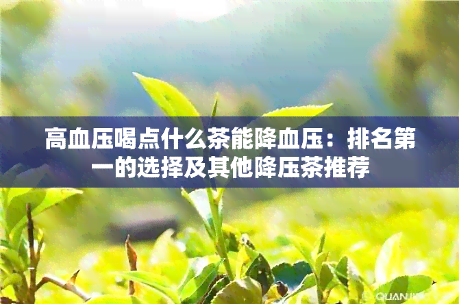 高血压喝点什么茶能降血压：排名之一的选择及其他降压茶推荐