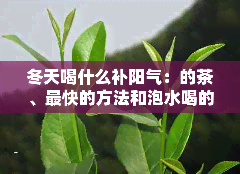 冬天喝什么补阳气：的茶、最快的方法和泡水喝的选项