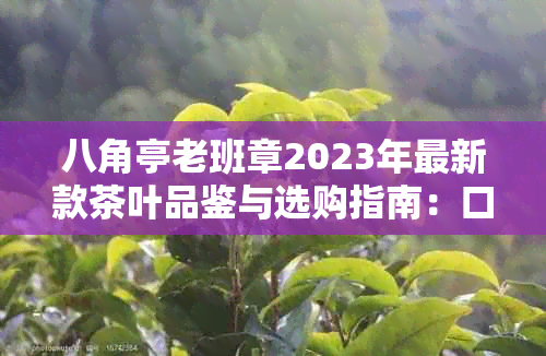 八角亭老班章2023年最新款茶叶品鉴与选购指南：口感、功效、泡法一网打尽