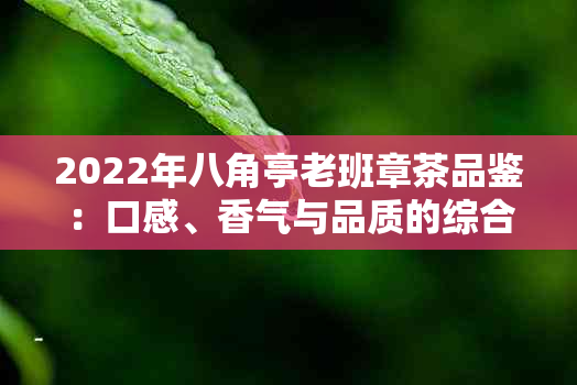 2022年八角亭老班章茶品鉴：口感、香气与品质的综合评价