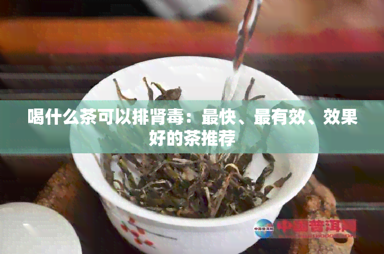 喝什么茶可以排肾：最快、最有效、效果好的茶推荐