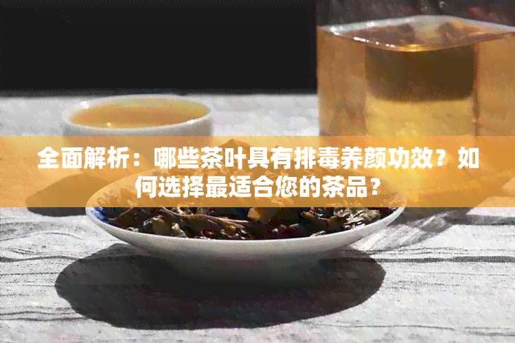 全面解析：哪些茶叶具有排养颜功效？如何选择最适合您的茶品？