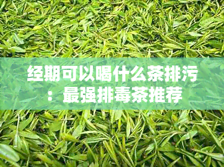 经期可以喝什么茶排污：最强排茶推荐