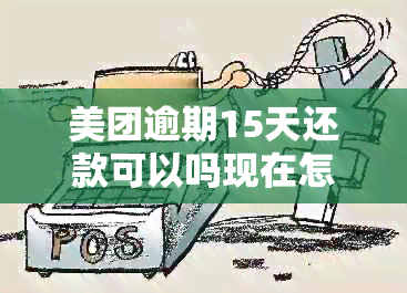 美团逾期15天还款可以吗现在怎么操作？