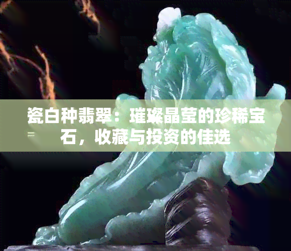 瓷白种翡翠：璀璨晶莹的珍稀宝石，收藏与投资的佳选