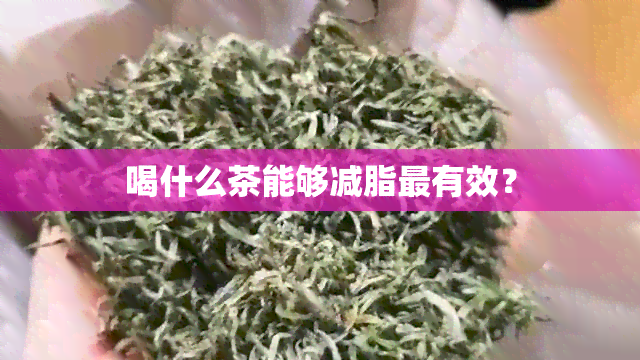 喝什么茶能够减脂最有效？