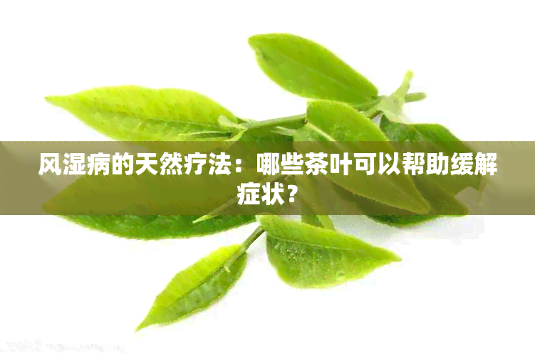 风湿病的天然疗法：哪些茶叶可以帮助缓解症状？