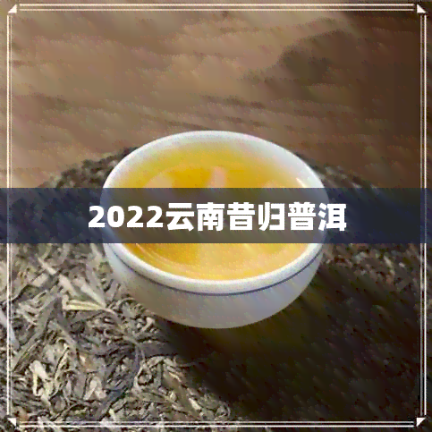 2022云南昔归普洱