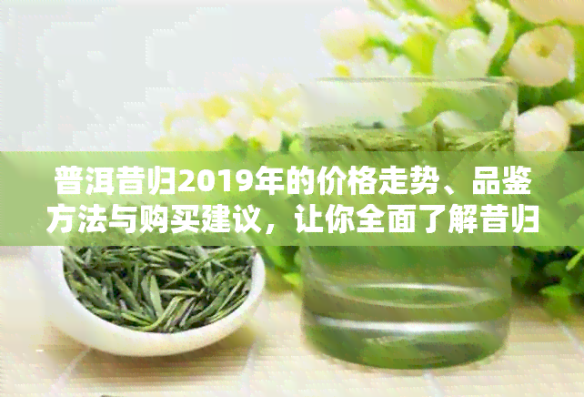 普洱昔归2019年的价格走势、品鉴方法与购买建议，让你全面了解昔归茶！