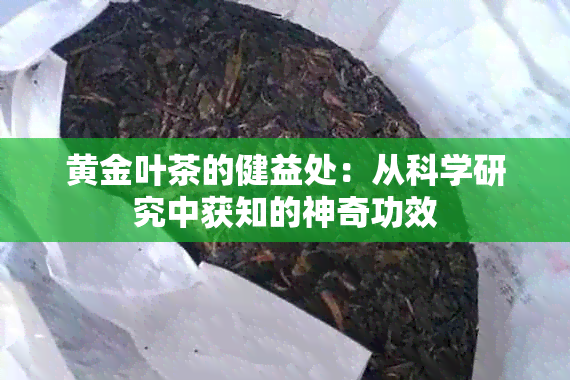 黄金叶茶的健益处：从科学研究中获知的神奇功效