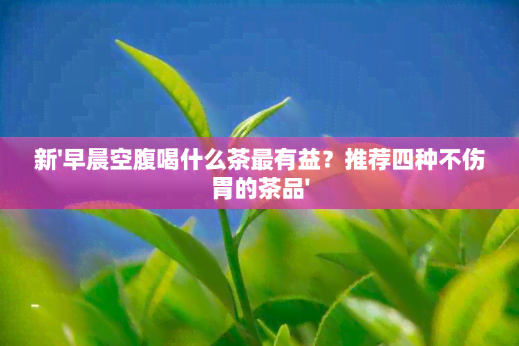 新'早晨空腹喝什么茶最有益？推荐四种不伤胃的茶品'