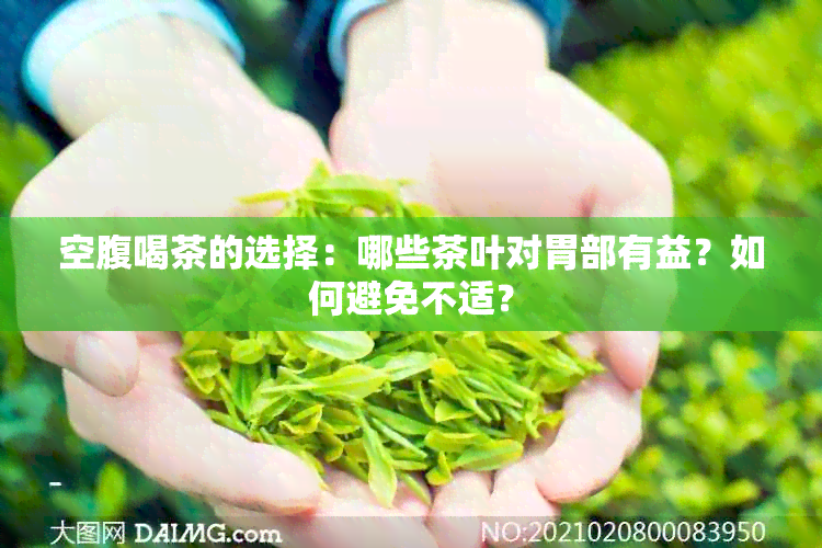 空腹喝茶的选择：哪些茶叶对胃部有益？如何避免不适？