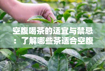 空腹喝茶的适宜与禁忌：了解哪些茶适合空腹饮用以及可能出现的副作用