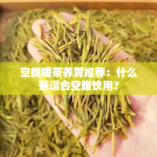 空腹喝茶养胃推荐：什么茶适合空腹饮用？