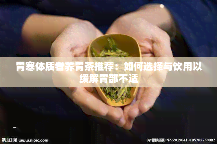 胃寒体质者养胃茶推荐：如何选择与饮用以缓解胃部不适