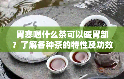 胃寒喝什么茶可以暖胃部？了解各种茶的特性及功效，找到最适合你的暖胃茶