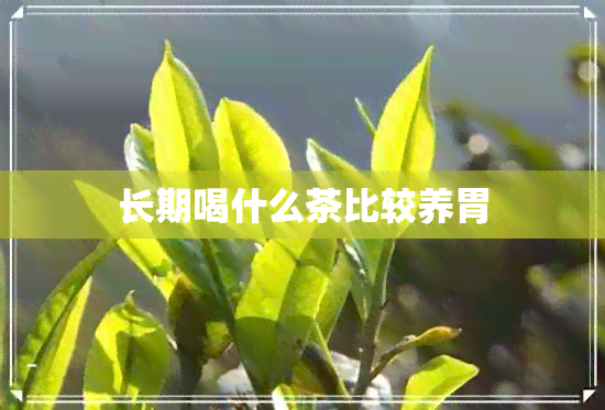 长期喝什么茶比较养胃