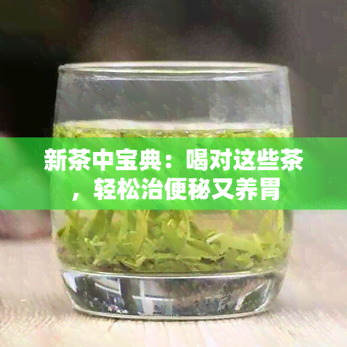 新茶中宝典：喝对这些茶，轻松治便秘又养胃