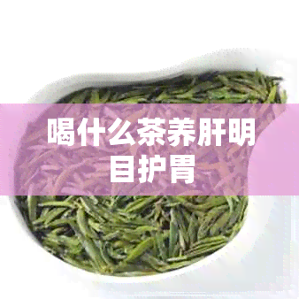 喝什么茶养肝明目护胃