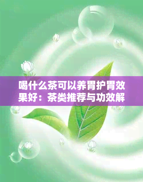 喝什么茶可以养胃护胃效果好：茶类推荐与功效解析