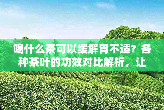 喝什么茶可以缓解胃不适？各种茶叶的功效对比解析，让你轻松养胃！