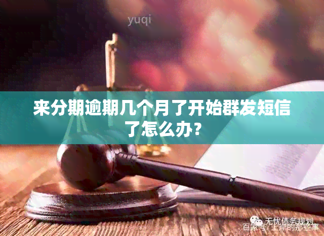 来分期逾期几个月了开始群发短信了怎么办？