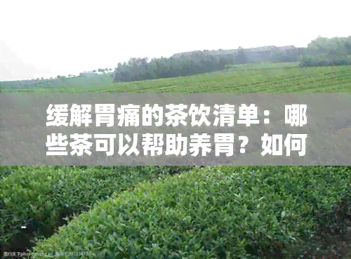 缓解胃痛的茶饮清单：哪些茶可以帮助养胃？如何选择最适合你的茶？