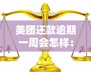 美团还款逾期一周会怎样：全额还款、信誉影响及逾期一天后果解答