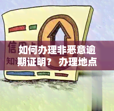 如何办理非恶意逾期证明？ 办理地点、所需材料及流程全面解析