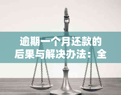 逾期一个月还款的后果与解决办法：全面了解如何避免逾期影响信用记录