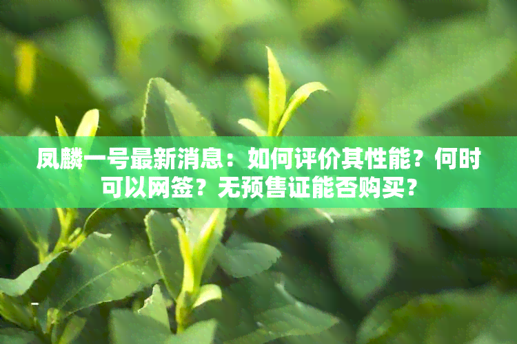 凤麟一号最新消息：如何评价其性能？何时可以网签？无预售证能否购买？