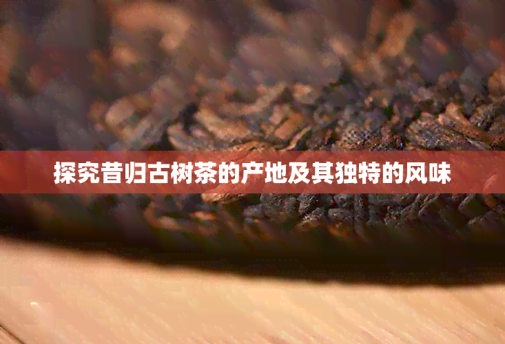 探究昔归古树茶的产地及其独特的风味