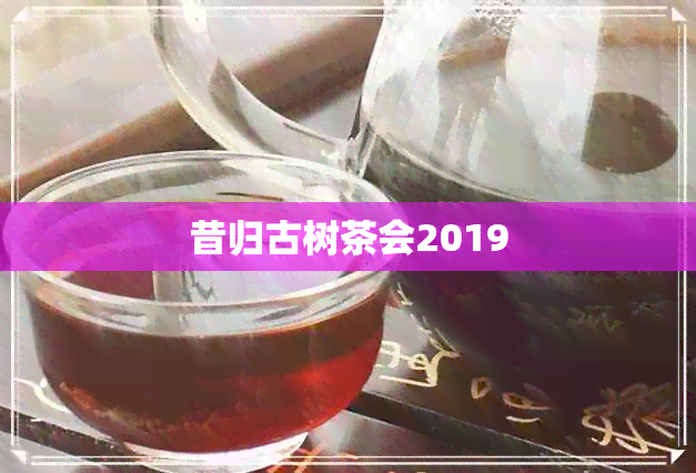 昔归古树茶会2019