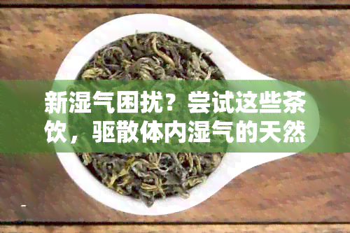 新湿气困扰？尝试这些茶饮，驱散体内湿气的天然良方！